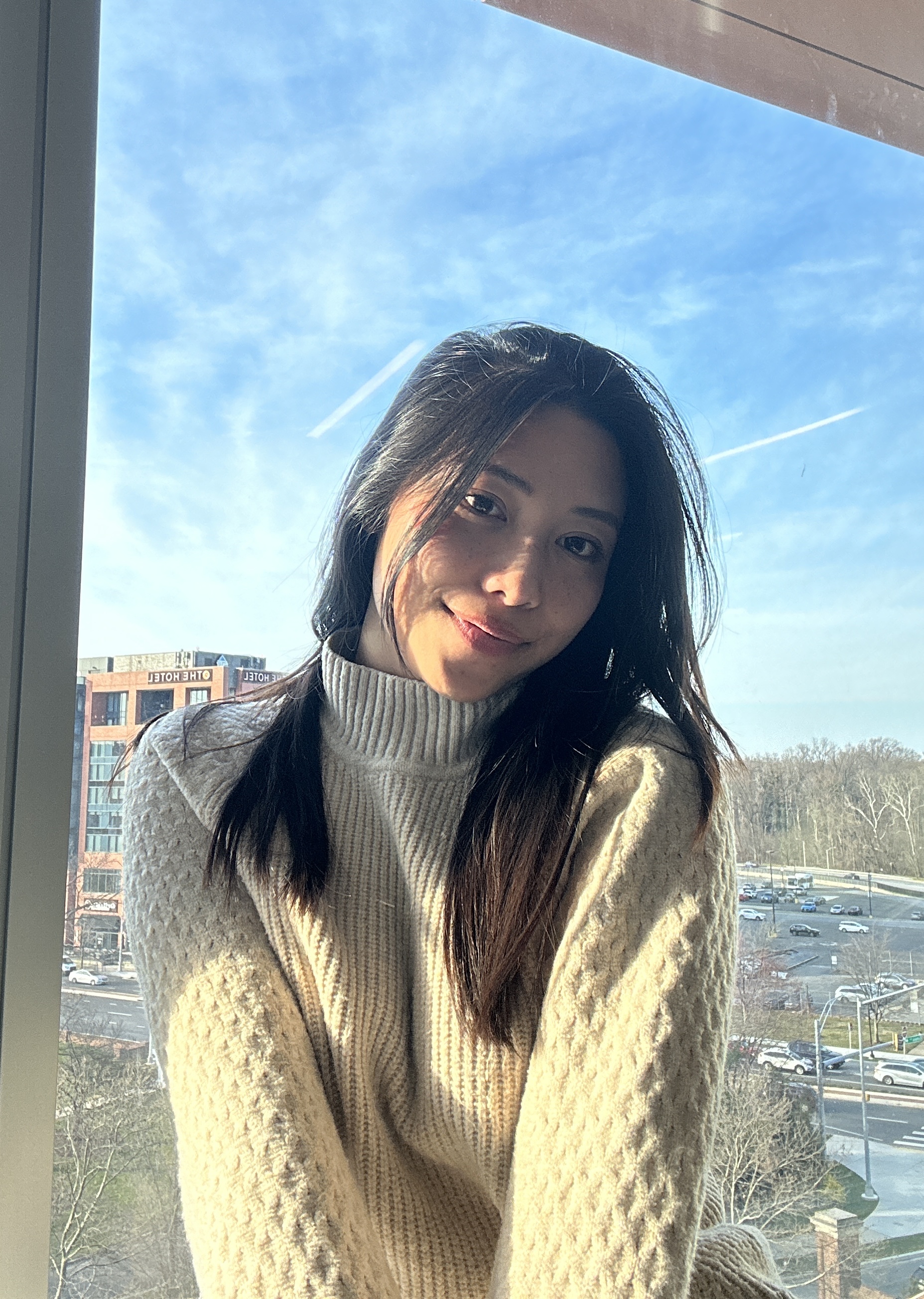 Phuong-Anh Nguyen-Le